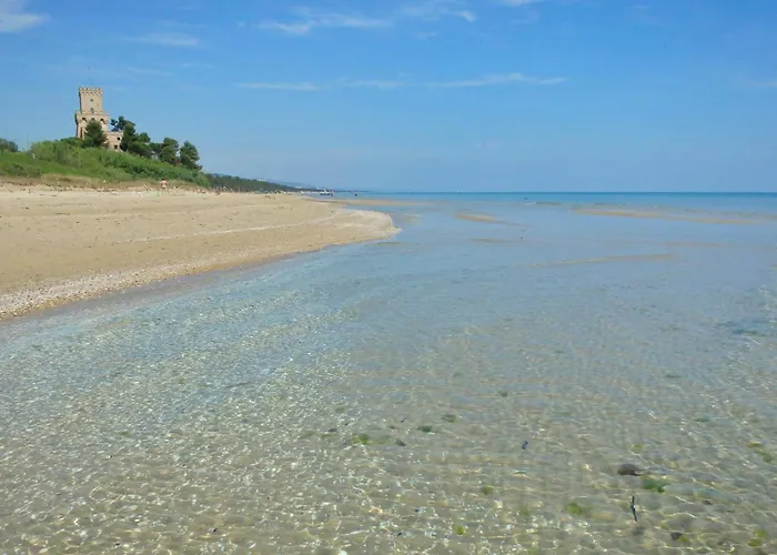 Apartamento Doc's House *